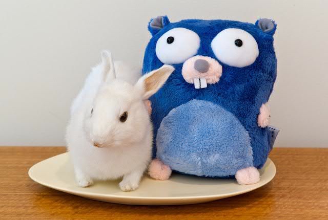 A picture of the Go Gopher, mascot of the Go Programming Language, with a rabbit.
