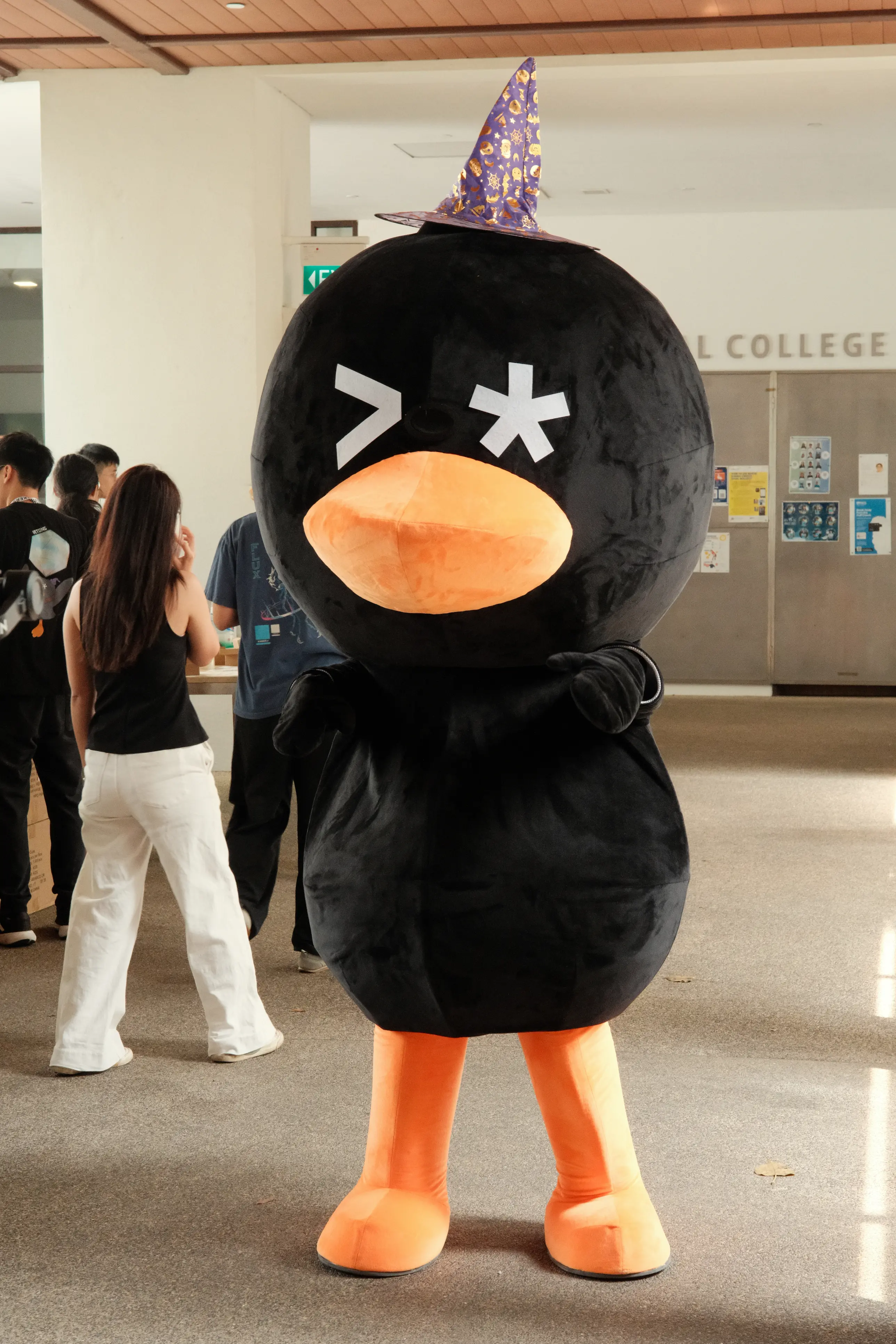 Quackers mascot with wizard hat